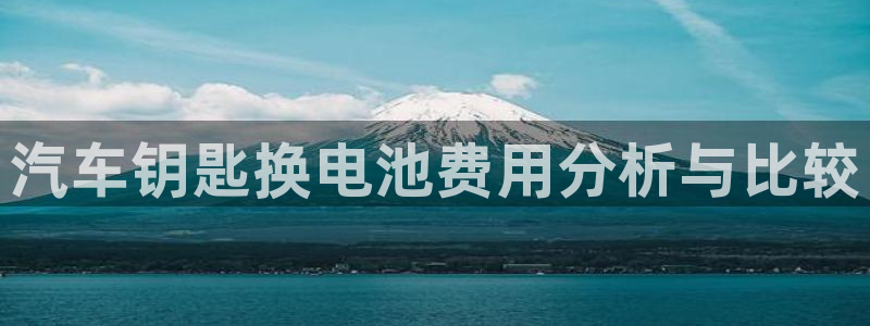 优发国际网官网17o8：汽车钥匙换电池费用分析与比较