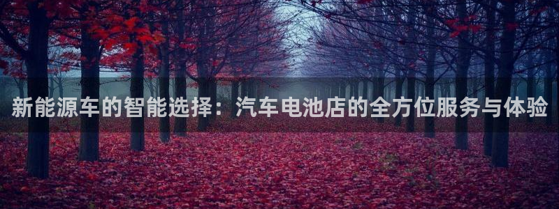 优发国际平台u8是什么公司：新能源车的智能选择：汽车电池店的全方位服务与体验