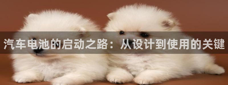 优发国际手机版网站：汽车电池的启动之路：从设计到使用的关键