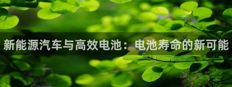 优发国际官网是多少：新能源汽车与高效电池：电池寿命的新可能