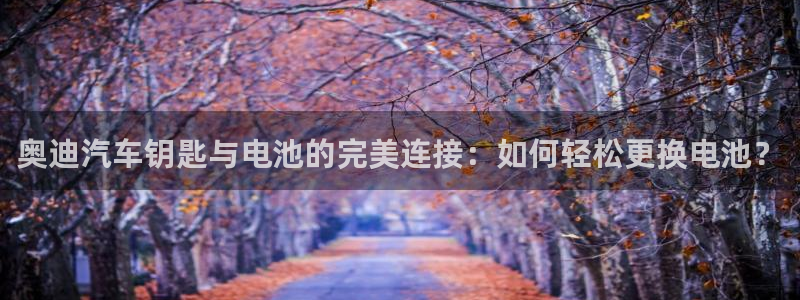 优发国际的官网是
