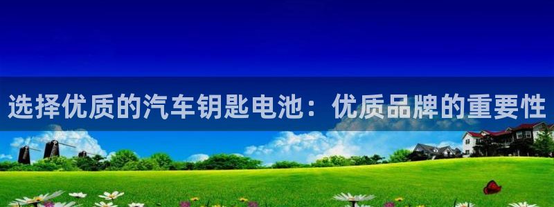 优发国际游戏17：选择优质的汽车钥匙电池：优质品牌的重要性