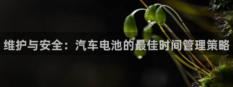 优发国际vip网址