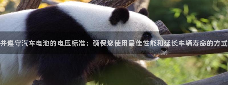 优发国际登录app：并遵守汽车电池的电压标准：确保您使用最佳性能和延长车辆寿命的方式