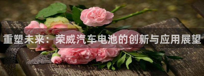 优发国际平台手机版下载安装：重塑未来：荣威汽车电池的创新与应用展望