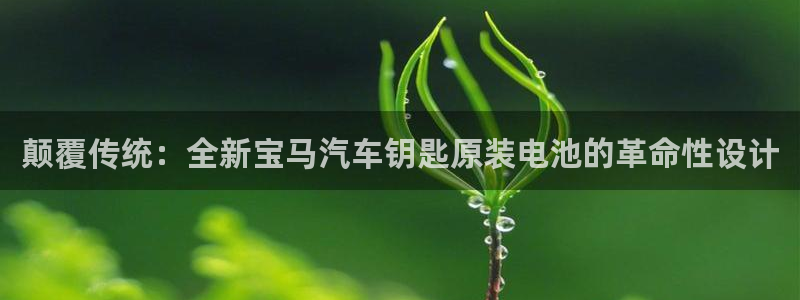 优发国际手机版唯一官网是什么：颠覆传统：全新宝马汽车钥匙原装电池的革命性设计