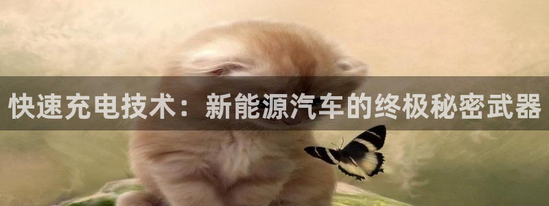 优发国际网站178：快速充电技术：新能源汽车的终极秘密武器