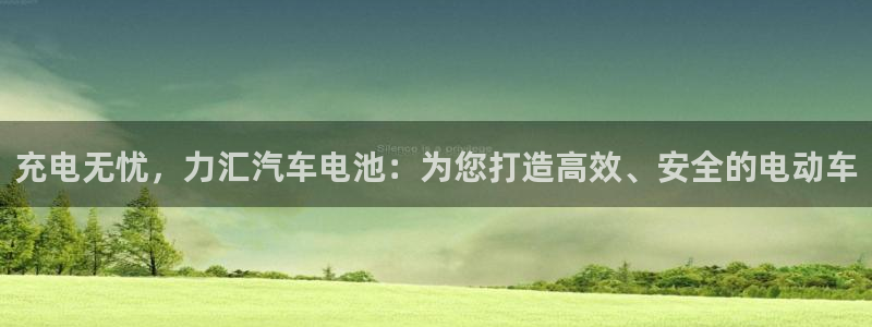 优发国际官网网站入口：充电无忧，力汇汽车电池：为您打造高效、安全的电动车