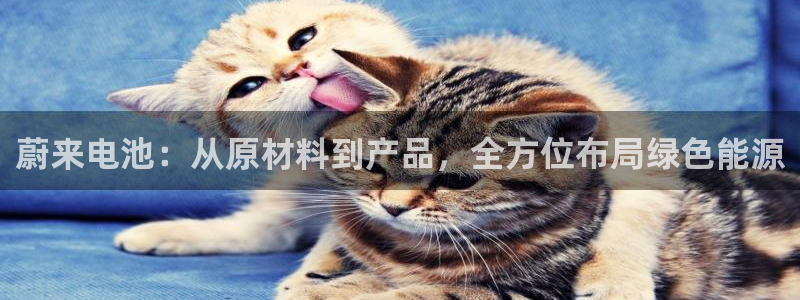 优发国际亚洲平台：蔚来电池：从原材料到产品，全方位布局绿色能源