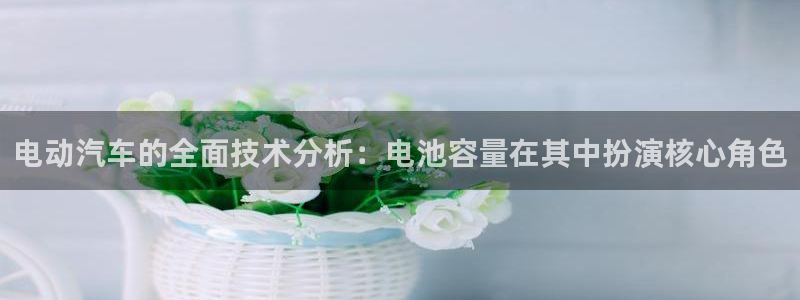 优发国际手机版唯一官网：电动汽车的全面技术分析：电池容量在其中扮演核心角色