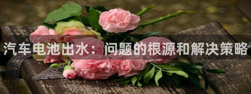 优发国际手机版客户端下载安装：汽车电池出水：问题的根源和解决策略