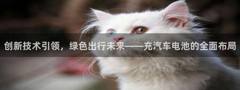 优发国际注册平台官网：创新技术引领，绿色出行未来——充汽车电池的全面布局