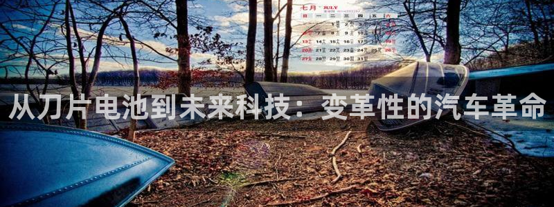 优发国际手机客户端：从刀片电池到未来科技：变革性的汽车革命