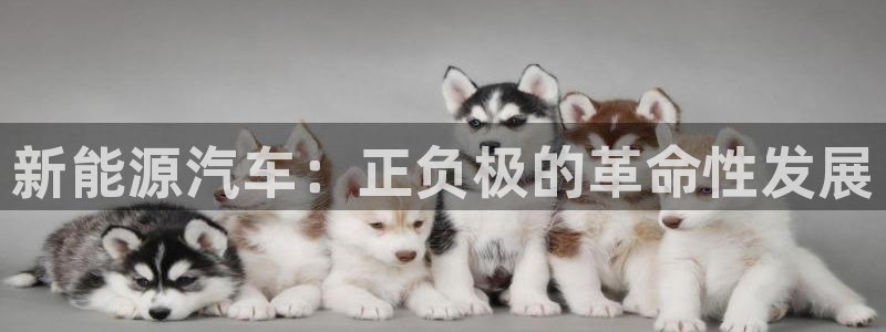 优发国际官网qy88：新能源汽车：正负极