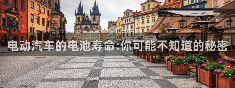 优发国际是大平台吗还是小平