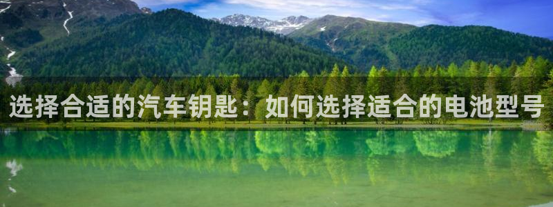 优发国际官网值是多少：选择合适的汽车钥匙：如何选择适合的电池型号