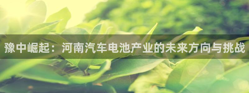 优发国际网官网：豫中崛起：河南汽车电池产业的未来方向与挑战