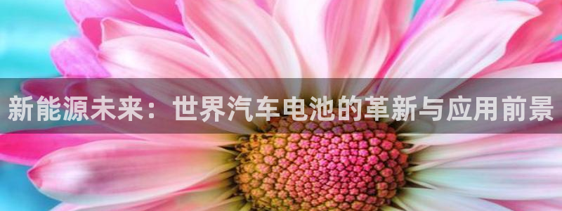 优发国际官网网站入口：新能源未来：世界汽车电池的革新与应用前景