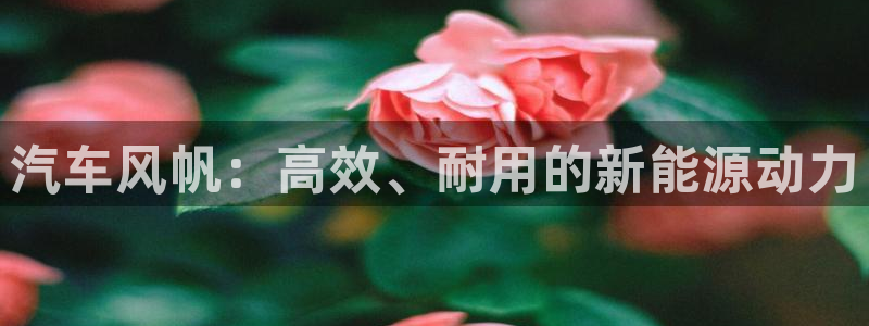 优发国际app官网下载安装手机版