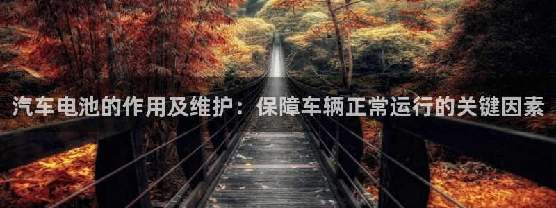 优发国际app官网下载安装苹果：汽车电池的作用及维护：保障车辆正常运行的关键因素