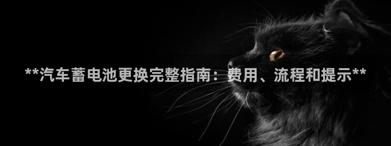 优发国际平台u8是什么公司