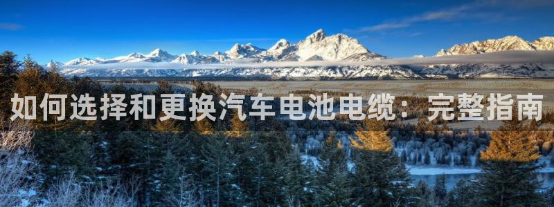 优发国际登录首页官网