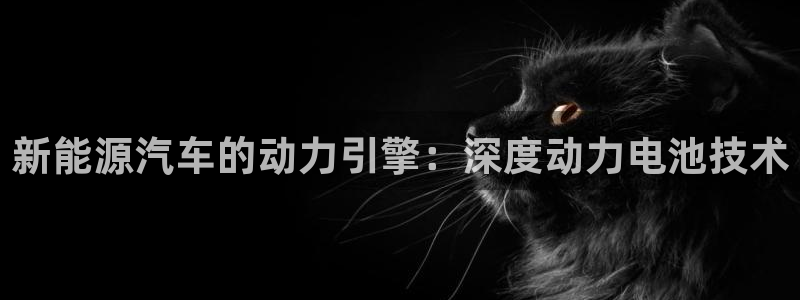 优发国际合并到哪里了最新消息